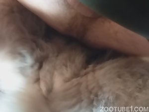 Transei gostoso com meu cachorrão sacana