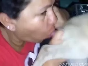 coroa engatada com cachorro