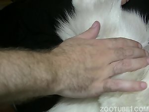 Dog licks guys penis