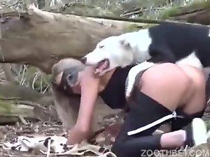 Dog porn asian