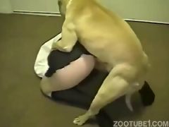 Doggie blowjobs