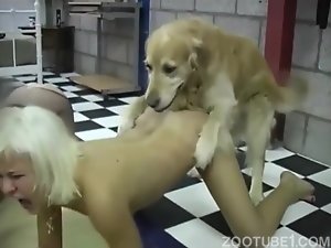 Follando ami perro