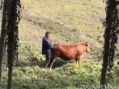 Guy gets knotted by dog