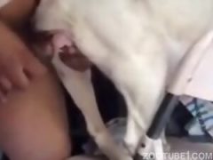 Horse.Cumming porn