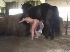 Horse penetrating woman