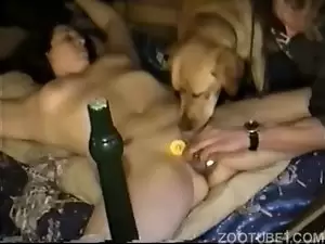 marido chama cachorro para esposa