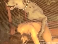 mulher enganada com um cachorro sexo anal