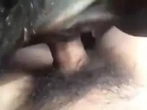 homem masturbando cachorro