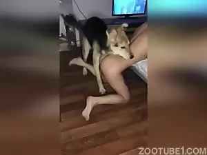 homens fazendo sexo com cachorro