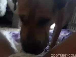 mulher egatada com cachorro